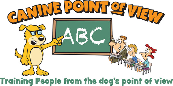 Canine Point Of View